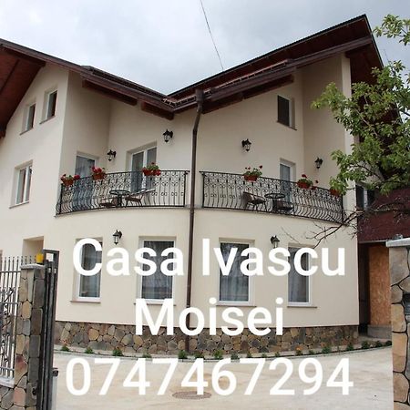 Casa Ivascu Moisei Hotel Exterior photo